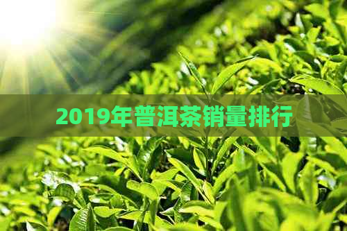 2019年普洱茶销量排行