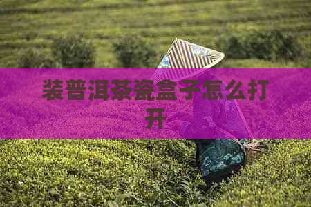 装普洱茶瓷盒子怎么打开