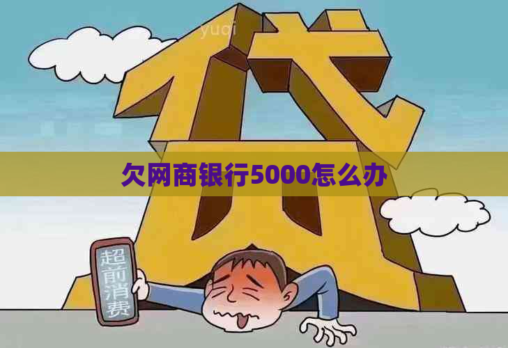 欠网商银行5000怎么办