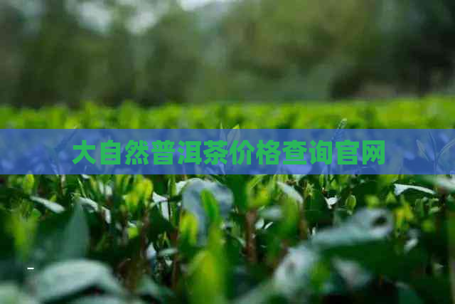 大自然普洱茶价格查询官网