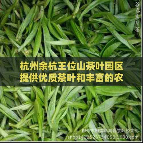 杭州余杭王位山茶叶园区提供优质茶叶和丰富的农业观光体验。