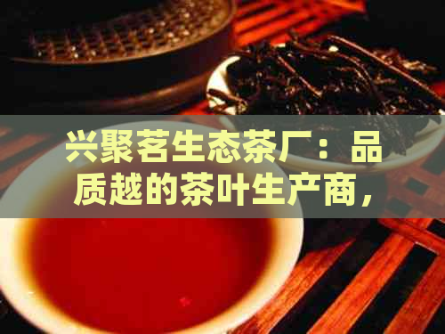 兴聚茗生态茶厂：品质越的茶叶生产商，提供全方位的茶叶产品与服务