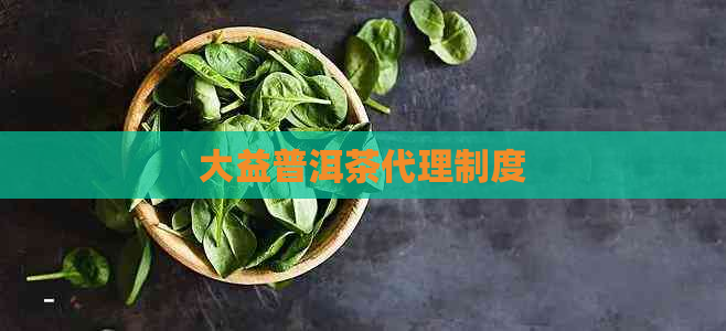 大益普洱茶代理制度