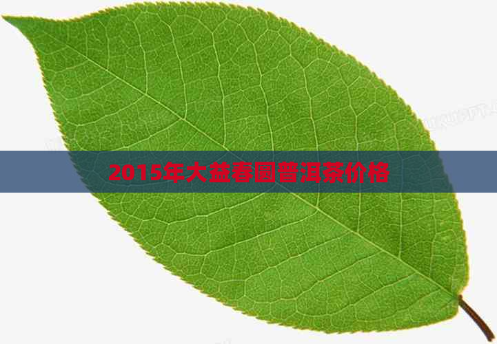 2015年大益春圆普洱茶价格