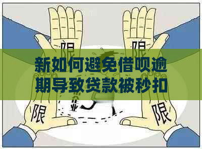 新如何避免借呗逾期导致贷款被秒扣？全面解决用户搜索问题的建议