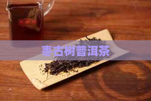 枣古树普洱茶