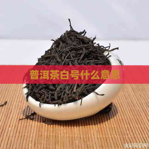 普洱茶白号什么意思