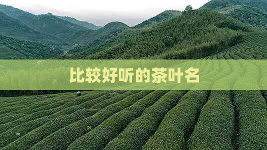 比较好听的茶叶名