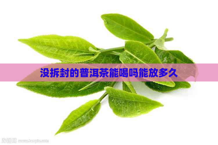 没拆封的普洱茶能喝吗能放多久