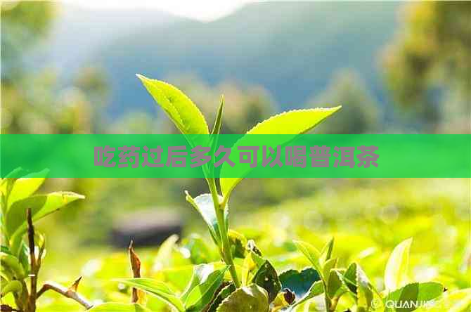 吃药过后多久可以喝普洱茶