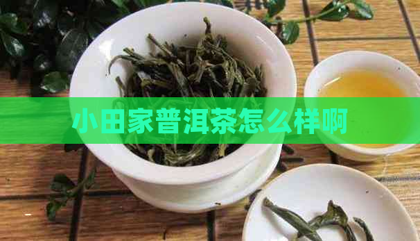 小田家普洱茶怎么样啊