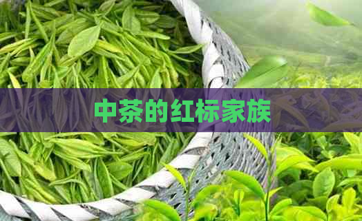 中茶的红标家族