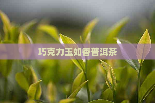 巧克力玉如香普洱茶