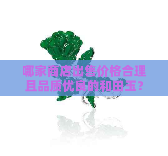 哪家商店出售价格合理且品质优良的和田玉？请提供购买建议。