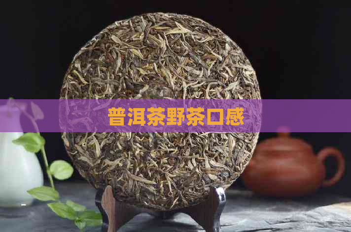 普洱茶野茶口感