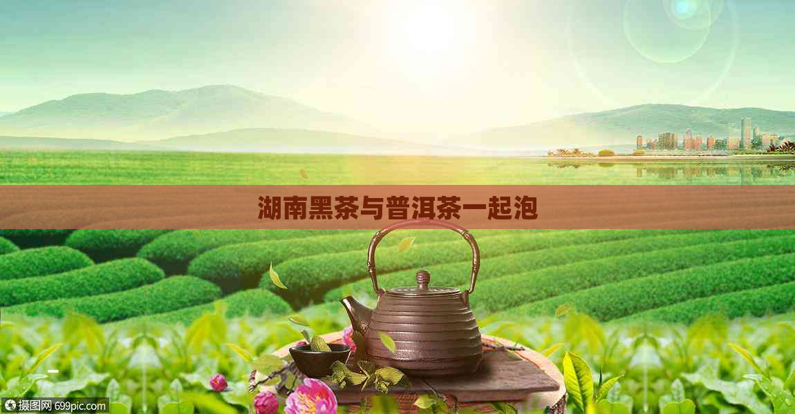 湖南黑茶与普洱茶一起泡