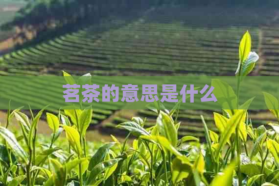 茗茶的意思是什么