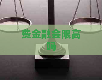 费金融会限高吗