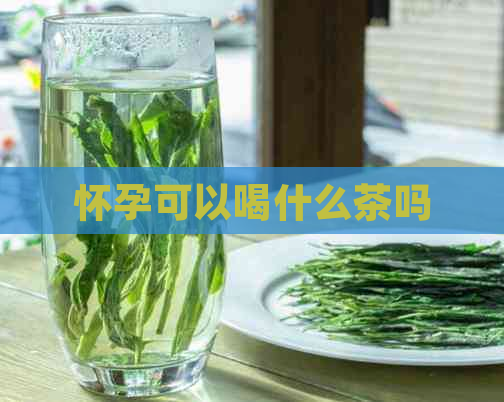 怀孕可以喝什么茶吗