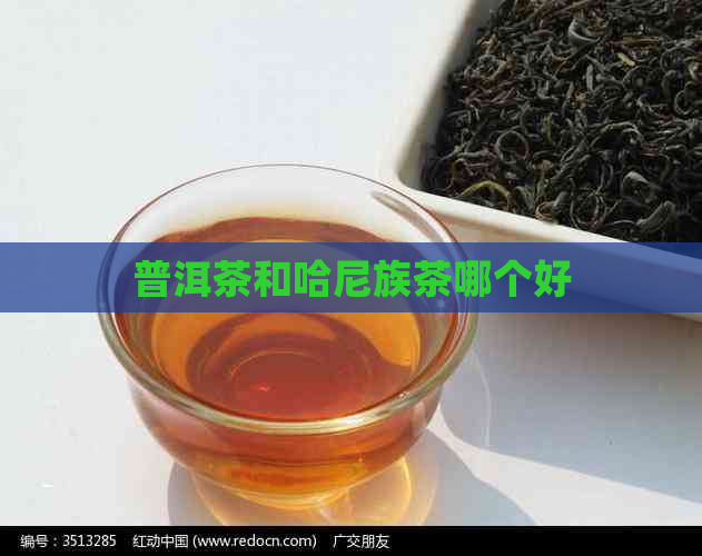 普洱茶和哈尼族茶哪个好