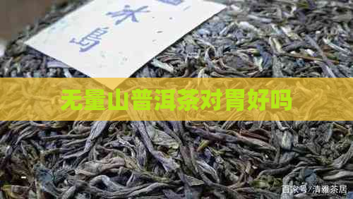 无量山普洱茶对胃好吗