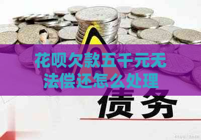 花呗欠款五千元无法偿还怎么处理