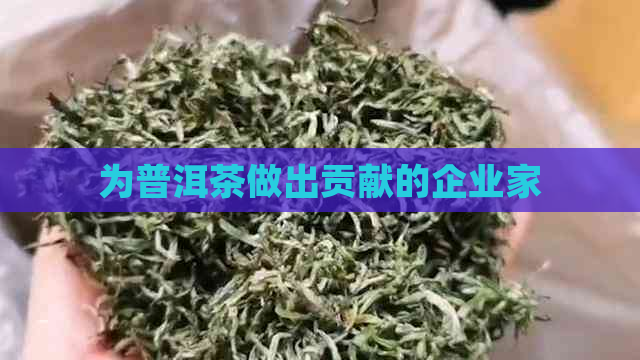 为普洱茶做出贡献的企业家