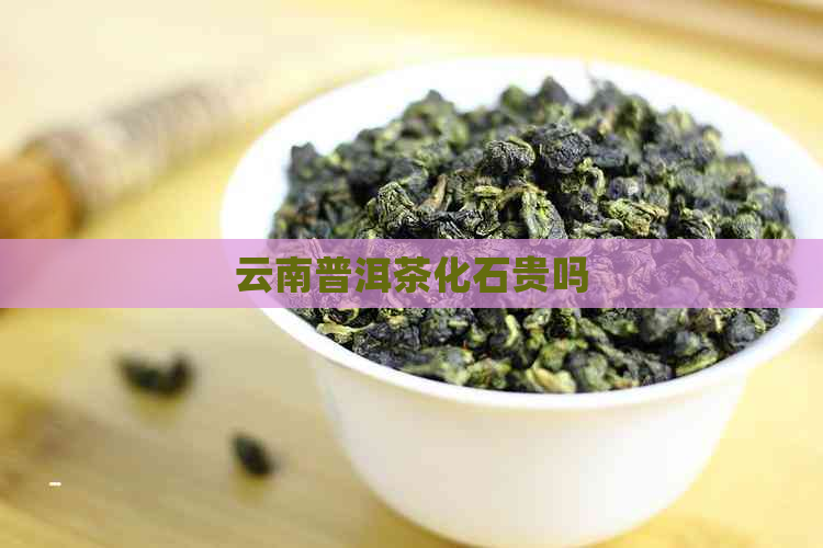 云南普洱茶化石贵吗