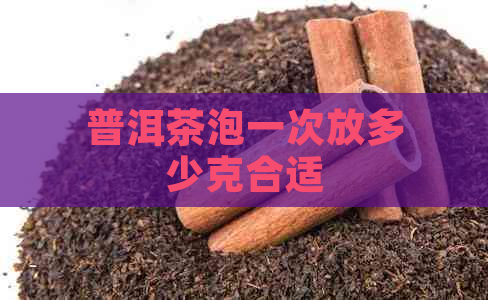 普洱茶泡一次放多少克合适