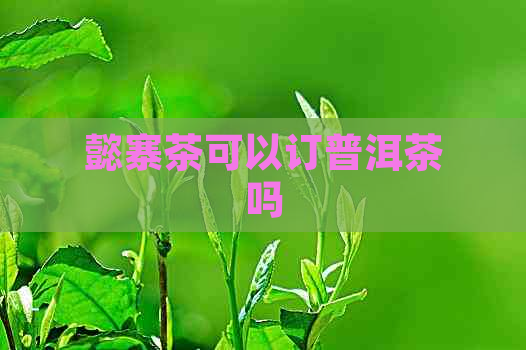 懿寨茶可以订普洱茶吗