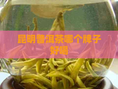 昆明普洱茶哪个牌子好喝