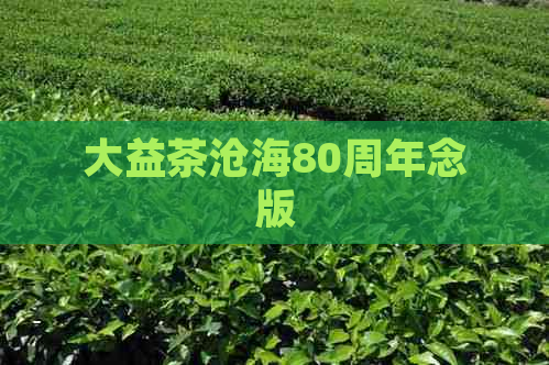 大益茶沧海80周年念版