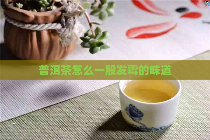 普洱茶怎么一股发霉的味道