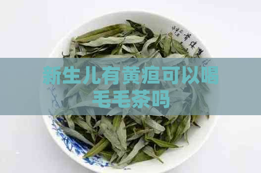 新生儿有黄疸可以喝毛毛茶吗