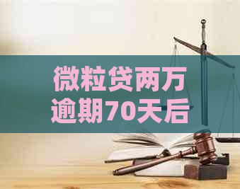 微粒贷两万逾期70天后果严重吗