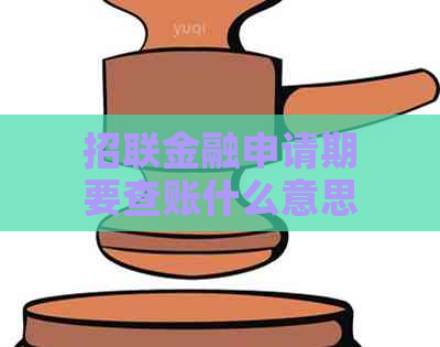 招联金融申请期要查账什么意思