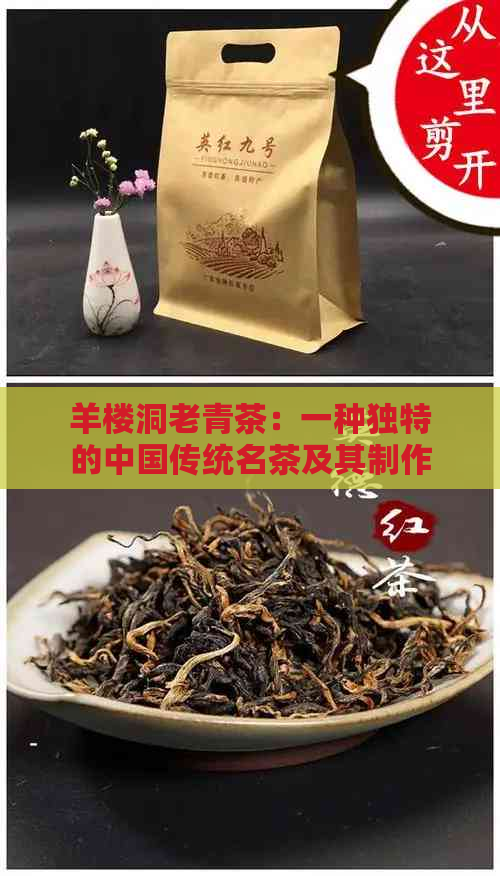 羊楼洞老青茶：一种独特的中国传统名茶及其制作工艺