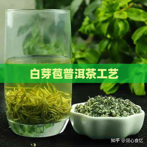 白芽苞普洱茶工艺