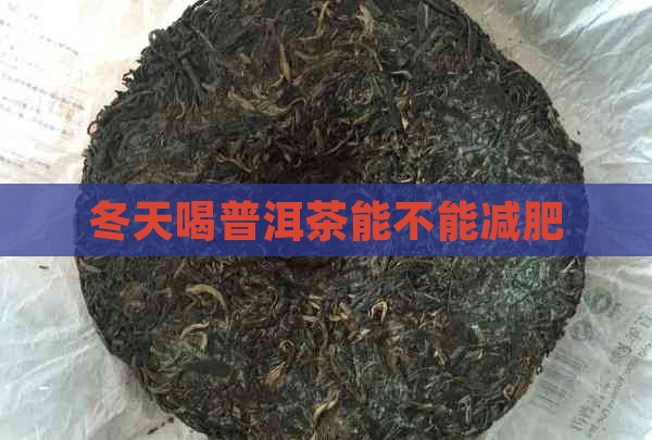 冬天喝普洱茶能不能减肥