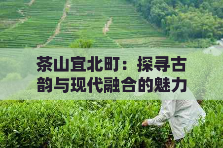 茶山宜北町：探寻古韵与现代融合的魅力之地