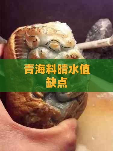 青海料晴水值缺点