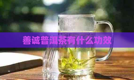 善诚普洱茶有什么功效