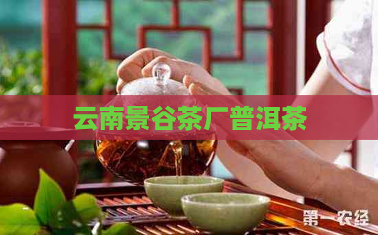 云南景谷茶厂普洱茶