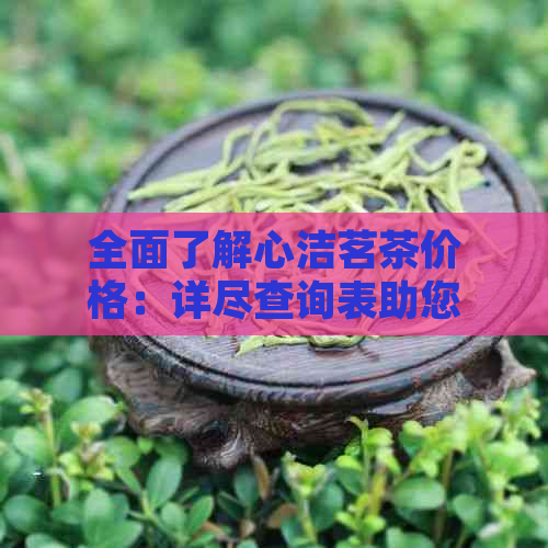 全面了解心洁茗茶价格：详尽查询表助您轻松掌握各类茶叶价格信息