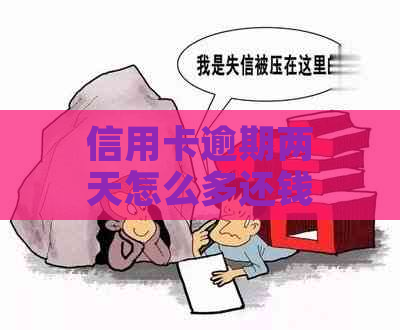 信用卡逾期两天怎么多还钱：解决方法与建议