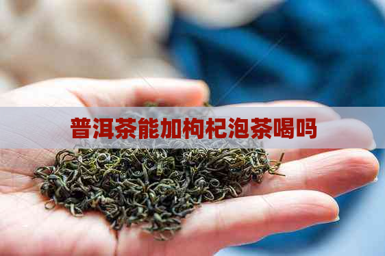 普洱茶能加枸杞泡茶喝吗