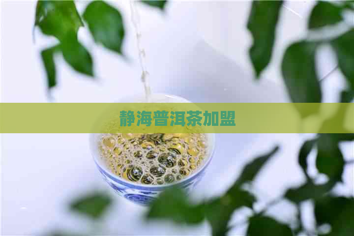 静海普洱茶加盟