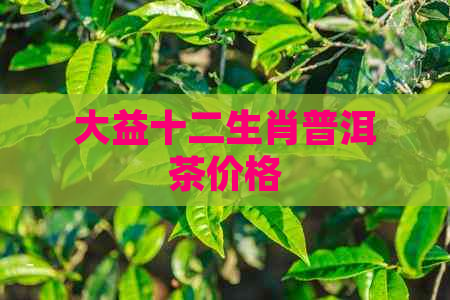 大益十二生肖普洱茶价格