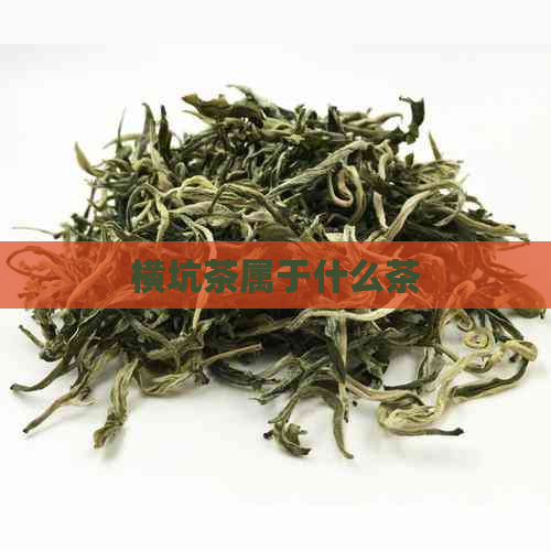 横坑茶属于什么茶