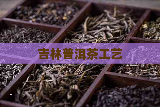 吉林普洱茶工艺